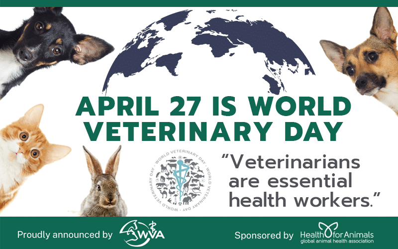 Celebrating Veterinarians on World Veterinary Day