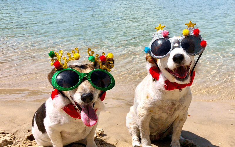 Committed to Your Patients’ Emergency Care During the Holidays