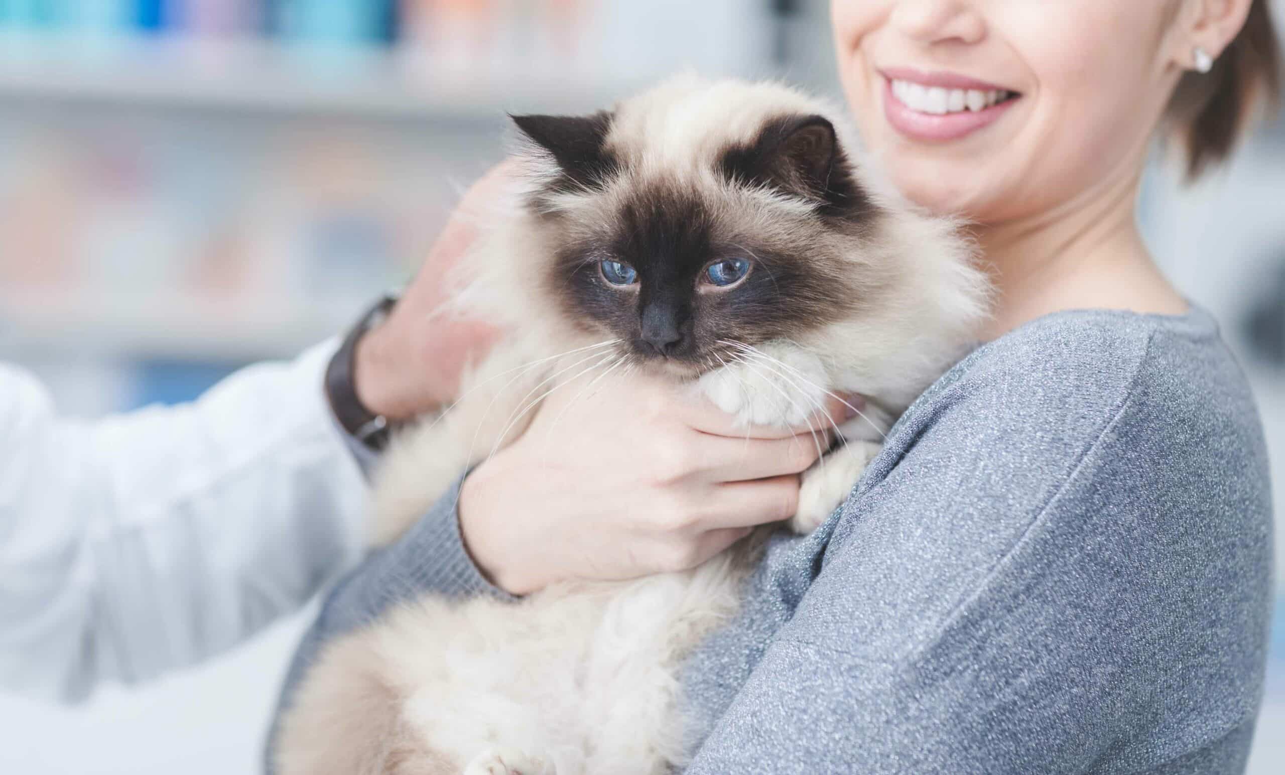 Why Choose Our DeLand Veterinary Team?