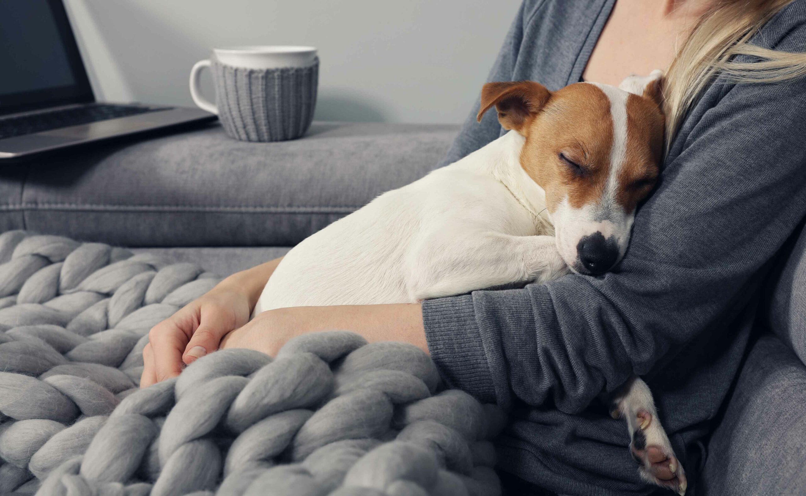 Preparing for Your Pet’s Stay