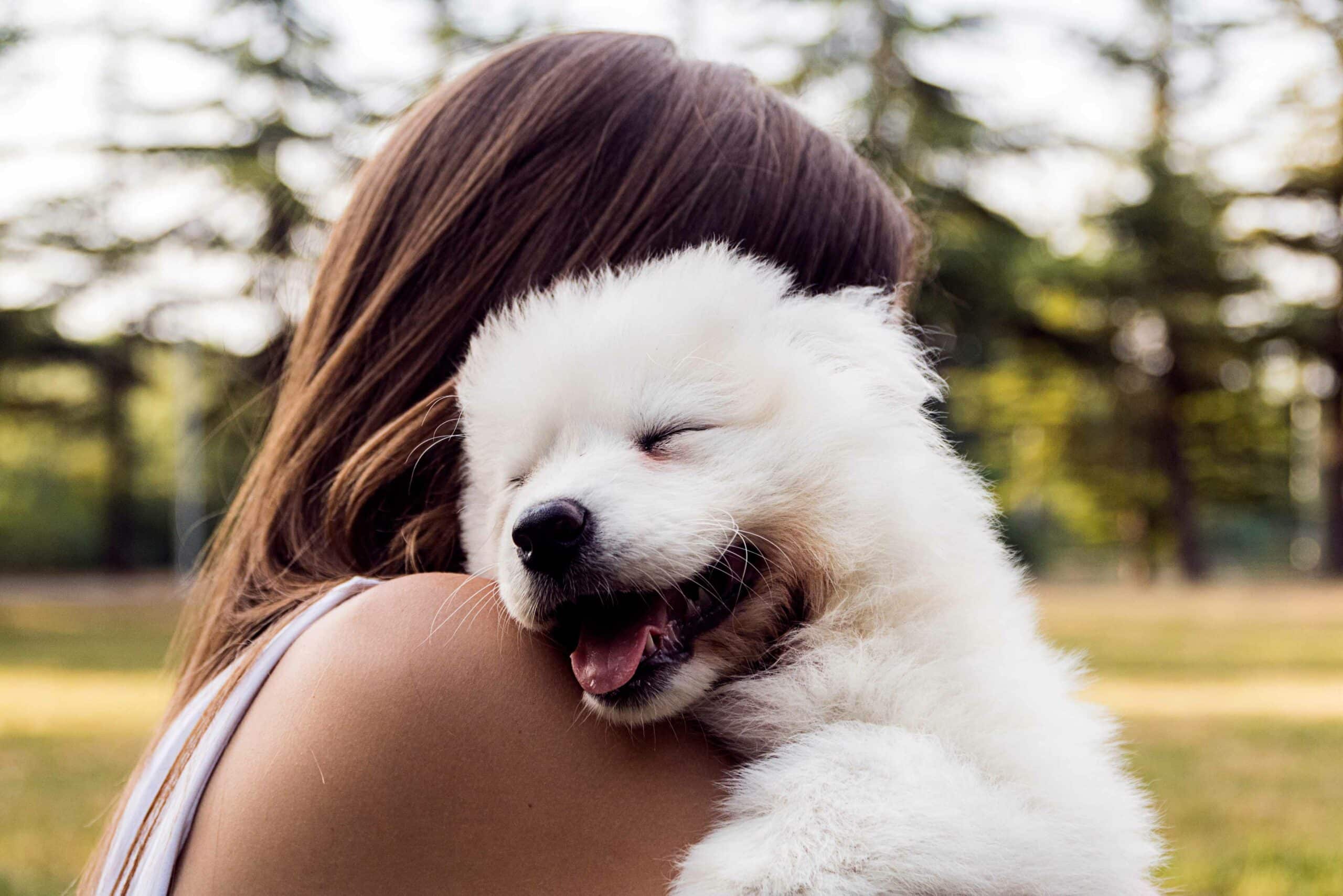 Why Choose Animal Emergency Hospital DeLand for Pet Diagnostics?
